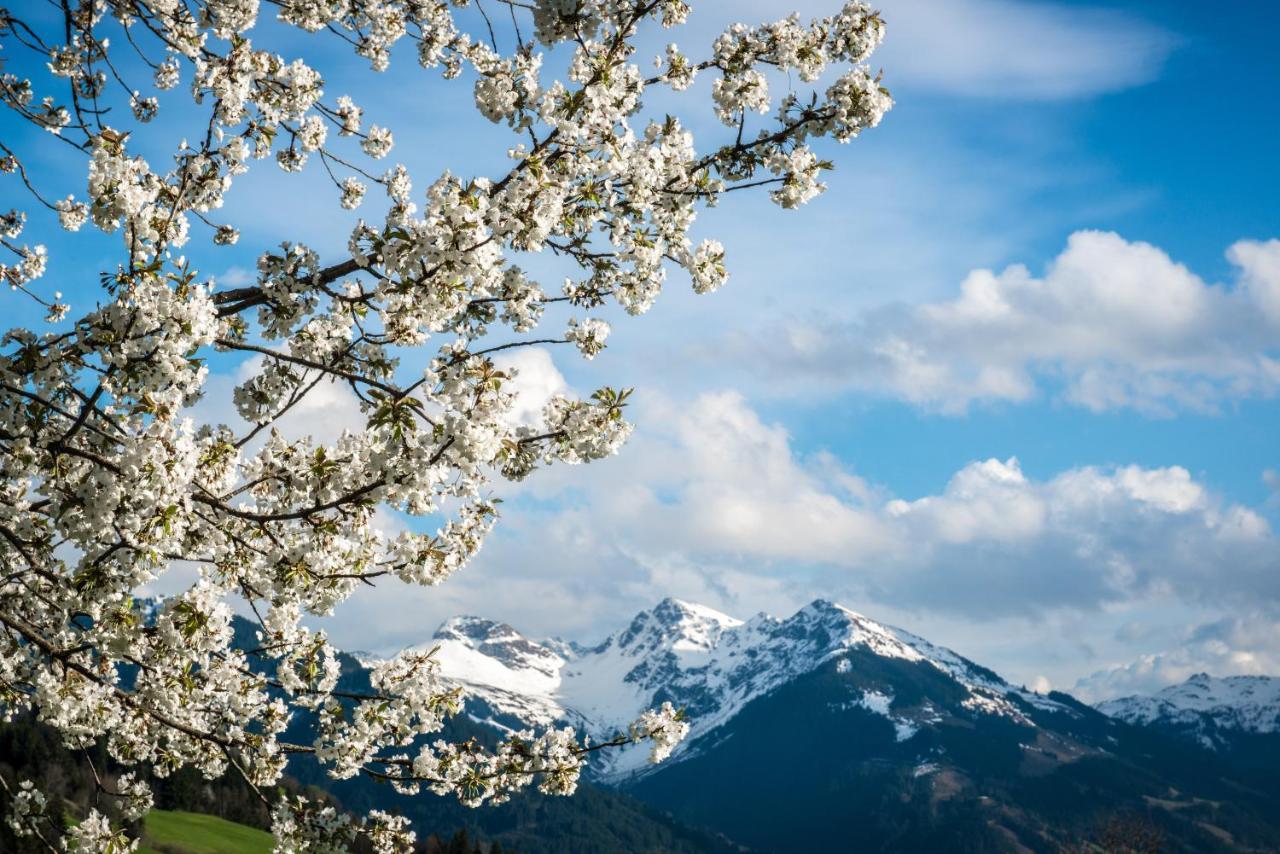 Residence Reith Kitzbuehel ภายนอก รูปภาพ